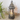 Bronze Lantern