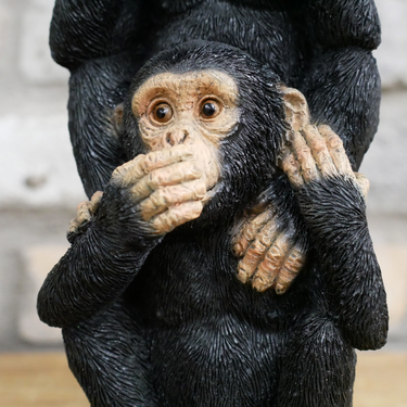 Monkey Totem No Evil