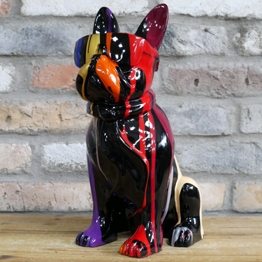 Multi Colour Dog With Shades