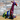 Multi Colour Giraffe