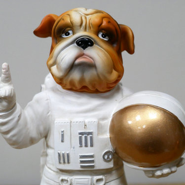 Elon Woof Spaceman