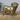 Pug Jigsaw Dog