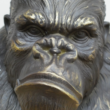 Gorilla Bust