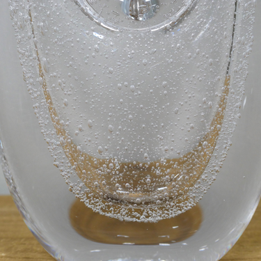 Clear Glass Bubble Vase