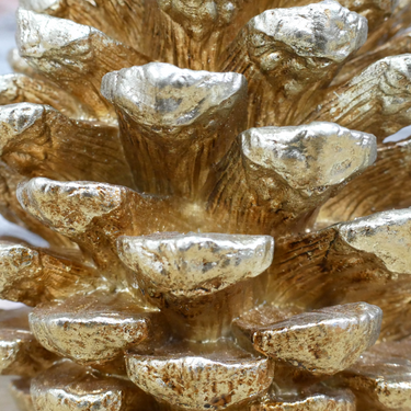 Giant Gold Pinecone