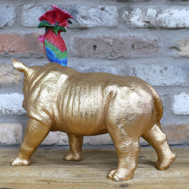 Rhino & Parrot