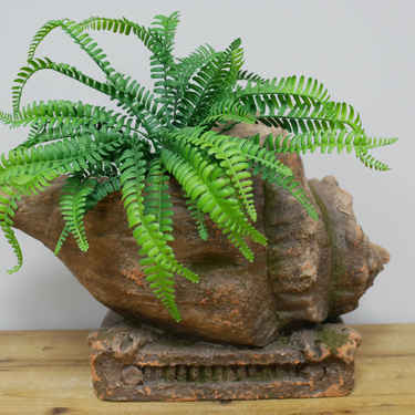 Shell Planter