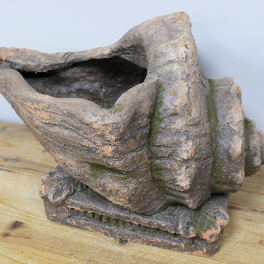 Shell Planter