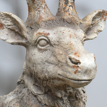Stag Bust