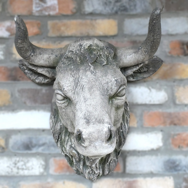 Cow Head