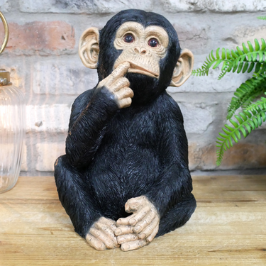 Finger In Mouth Monkey