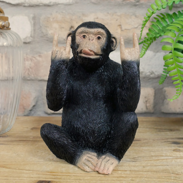 Rock N Roll Monkey