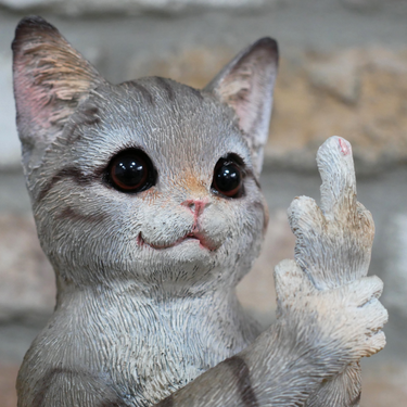 Naughty Cat