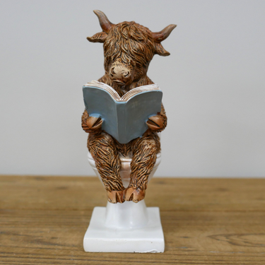 Highland Cow On The Loo