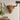 Highland Cow Wall Head
