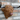 Highland Cow Wall Head