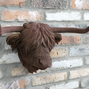 Velvet Brown Highland Cow