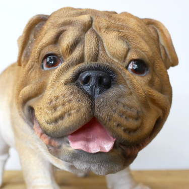 Bulldog Planter