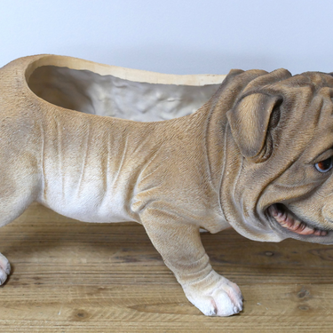 Bulldog Planter