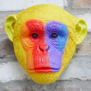 Rainbow Monkey Head