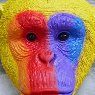 Rainbow Monkey Head