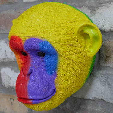 Rainbow Monkey Head