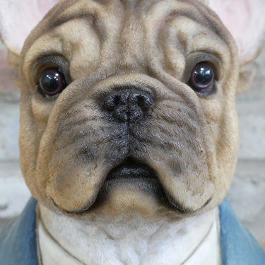 Large French Bulldog Bust
