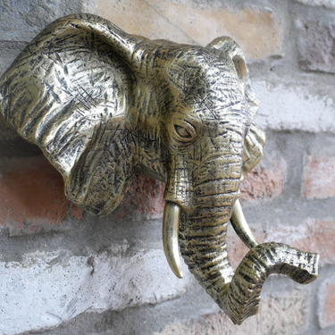 Elephant Head