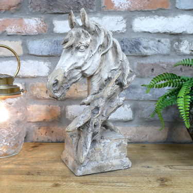 Horse Head