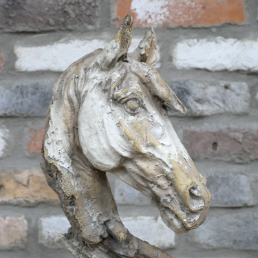 Horse Head
