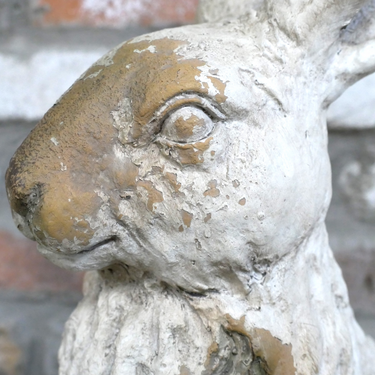 Sitting Rabbit
