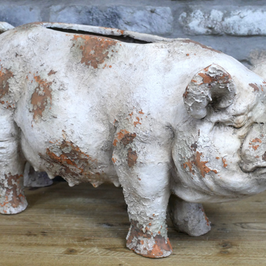 Pig Planter