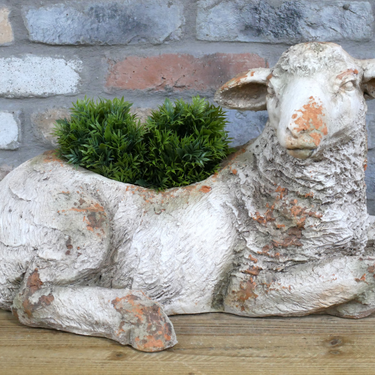 Sheep Planter