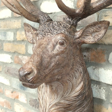 Giant Stag Head