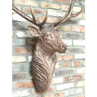 Giant Stag Head