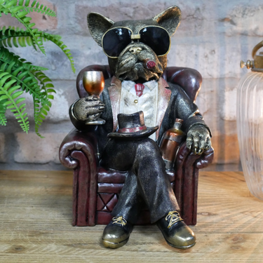 Dog In A Chair