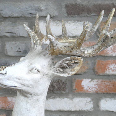 Standing Stag
