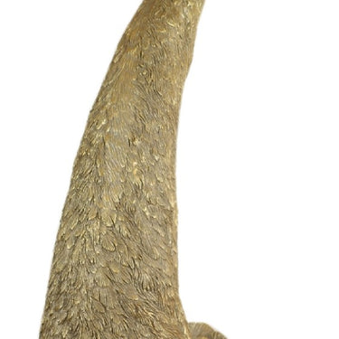 Female Peacock Head 68cm