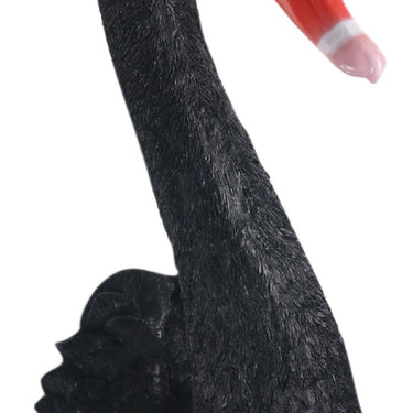 Black Swan Wall Head