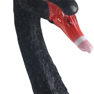 Black Swan Wall Head