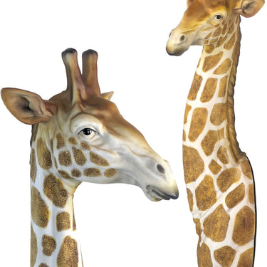 Natural Giraffe Head & Neck Wall