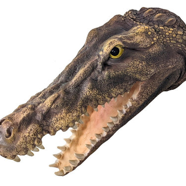 Crocodile Head Wall Art 43cm