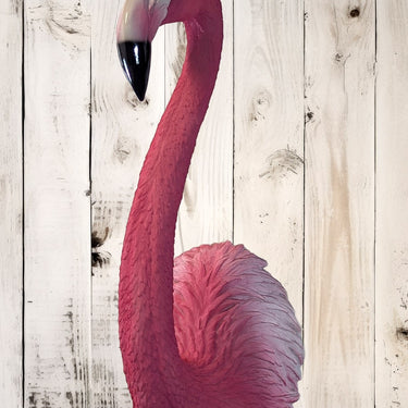 Pink Flamingo Wall Head