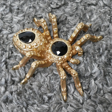 Golden Spider