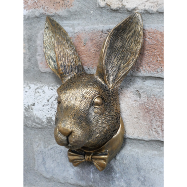 Rabbit Head