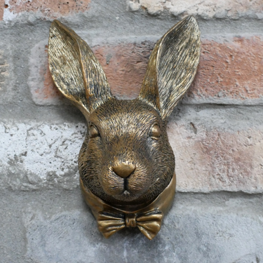 Rabbit Head
