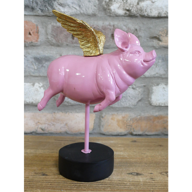Flying Pig