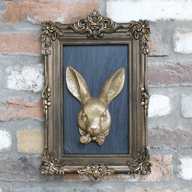 Rabbit In Frame
