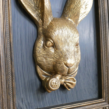 Rabbit In Frame