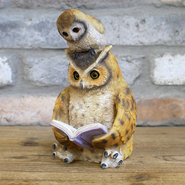 Owl Reading